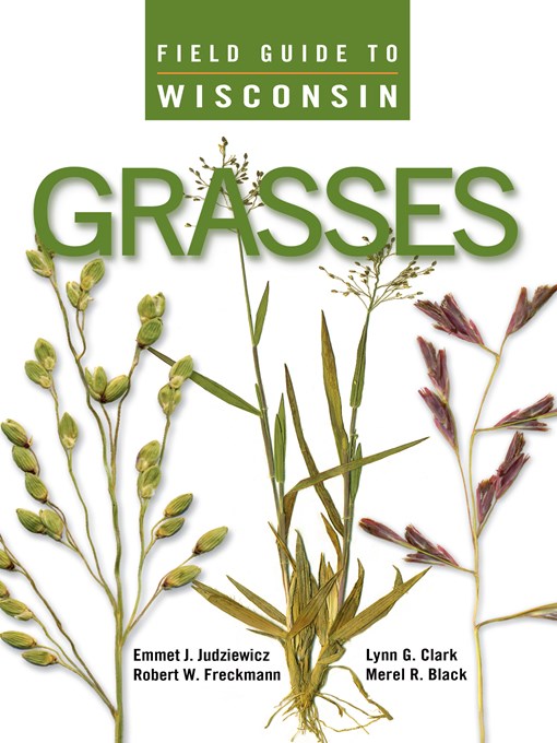 Title details for Field Guide to Wisconsin Grasses by Emmet J. Judziewicz - Available